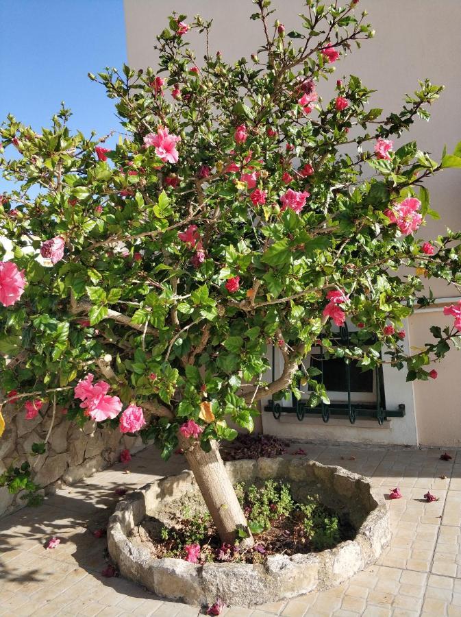 פראגודו Villa Belavista With Private Pool מראה חיצוני תמונה